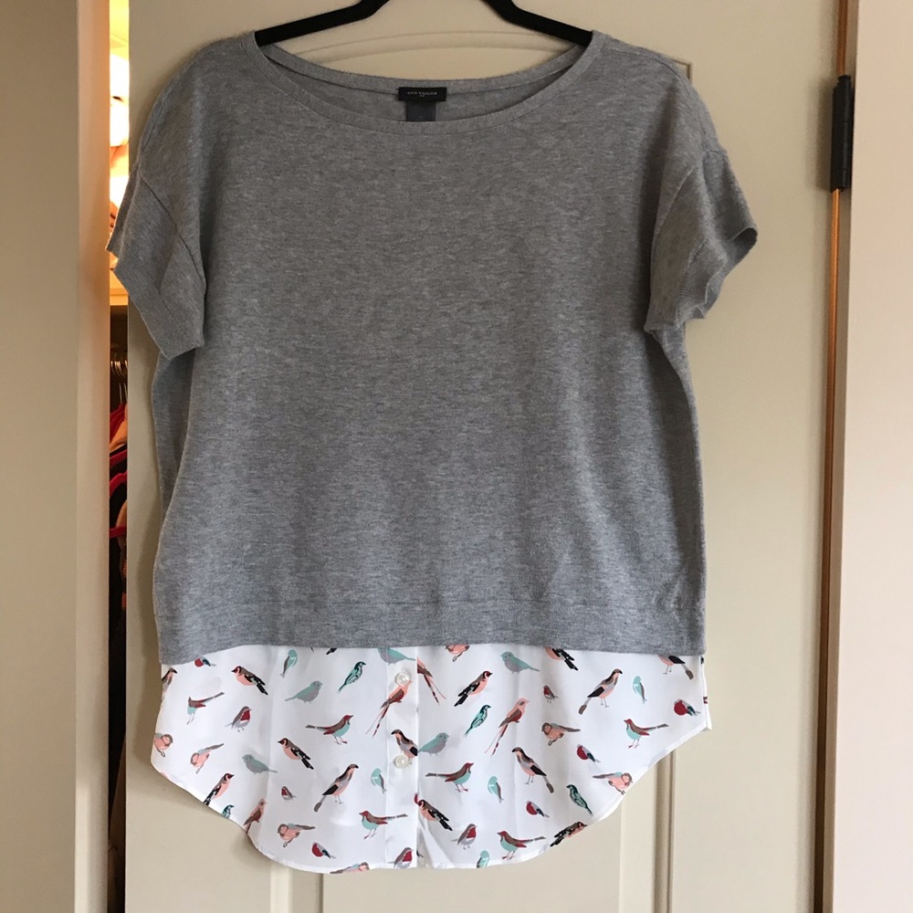 Ann Taylor top